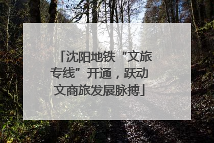 沈阳地铁“文旅专线”开通，跃动文商旅发展脉搏