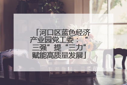 河口区蓝色经济产业园党工委：“三强”提“三力”赋能高质量发展