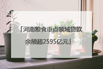 河南粮食重点领域贷款余额超2595亿元