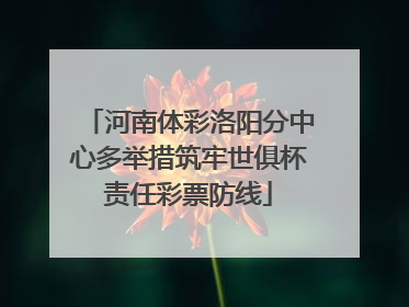 河南体彩洛阳分中心多举措筑牢世俱杯责任彩票防线