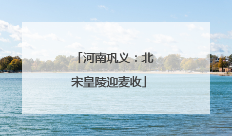 河南巩义：北宋皇陵迎麦收