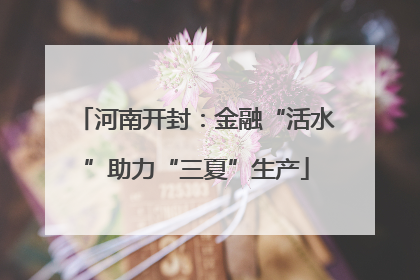 河南开封：金融“活水”助力“三夏”生产