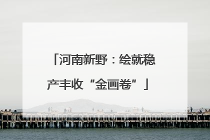 河南新野：绘就稳产丰收“金画卷”