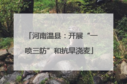 河南温县：开展“一喷三防”和抗旱浇麦