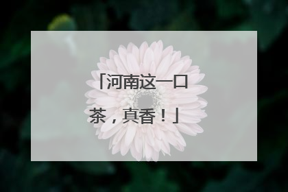 河南这一口茶，真香！
