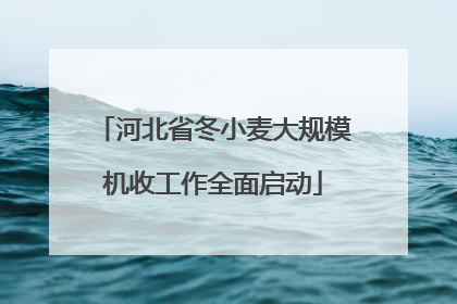 河北省冬小麦大规模机收工作全面启动