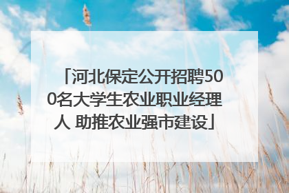 河北保定公开招聘500名大学生农业职业经理人 助推农业强市建设