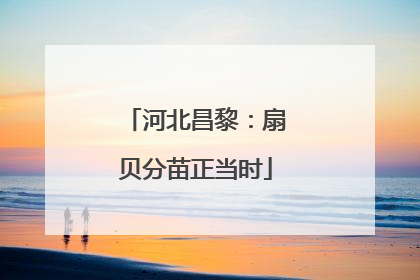 河北昌黎：扇贝分苗正当时