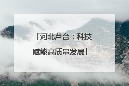 河北芦台：科技赋能高质量发展