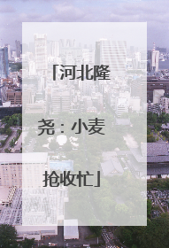 河北隆尧：小麦抢收忙