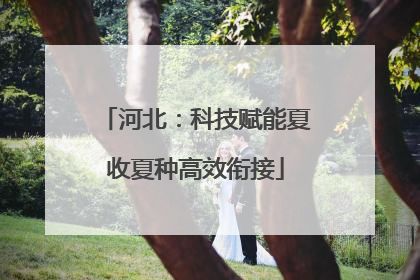 河北：科技赋能夏收夏种高效衔接
