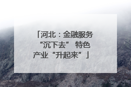 河北：金融服务“沉下去” 特色产业“升起来”