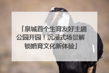 泉城首个生育友好主题公园开园！沉浸式场景解锁婚育文化新体验
