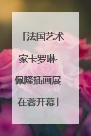 法国艺术家卡罗琳·佩隆插画展在蓉开幕