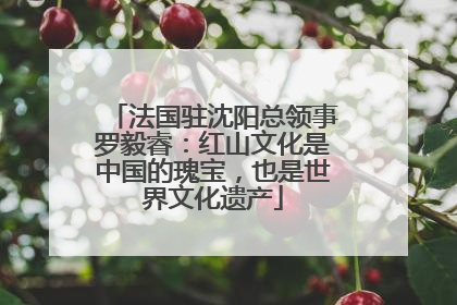 法国驻沈阳总领事罗毅睿：红山文化是中国的瑰宝，也是世界文化遗产