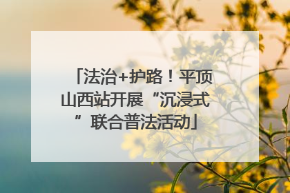 法治+护路！平顶山西站开展“沉浸式”联合普法活动