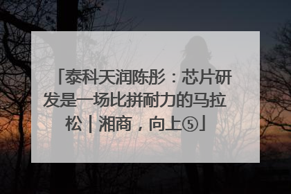 泰科天润陈彤：芯片研发是一场比拼耐力的马拉松｜湘商，向上⑤