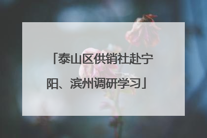 泰山区供销社赴宁阳、滨州调研学习