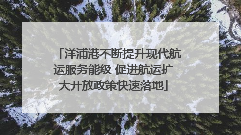 洋浦港不断提升现代航运服务能级 促进航运扩大开放政策快速落地
