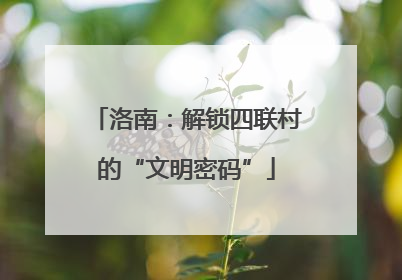 洛南：解锁四联村的“文明密码”