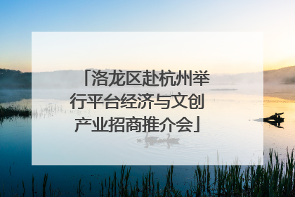 洛龙区赴杭州举行平台经济与文创产业招商推介会