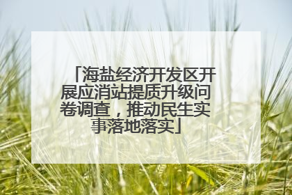 海盐经济开发区开展应消站提质升级问卷调查，推动民生实事落地落实
