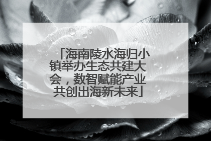海南陵水海归小镇举办生态共建大会，数智赋能产业共创出海新未来