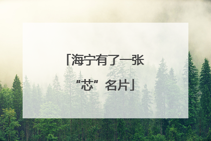 海宁有了一张“芯”名片