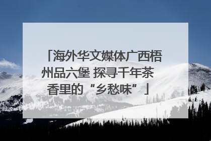 海外华文媒体广西梧州品六堡 探寻千年茶香里的“乡愁味”
