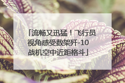 流畅又迅猛！飞行员视角感受数架歼-10战机空中近距格斗