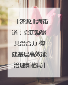 济源北海街道：党建凝聚共治合力 构建基层高效能治理新格局