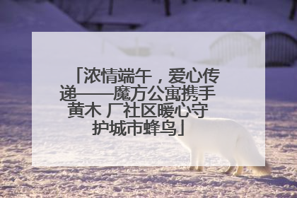 浓情端午，爱心传递——魔方公寓携手黄木 厂社区暖心守护城市蜂鸟