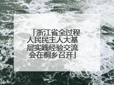 浙江省全过程人民民主人大基层实践经验交流会在桐乡召开