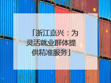 浙江嘉兴：为灵活就业群体提供精准服务