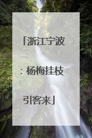 浙江宁波：杨梅挂枝引客来