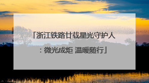 浙江铁路廿载星光守护人：微光成炬 温暖随行