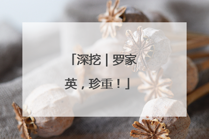 深挖｜罗家英，珍重！