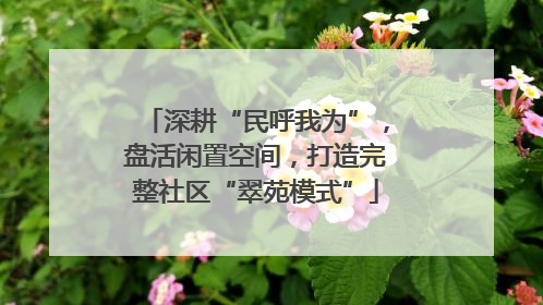 深耕“民呼我为”，盘活闲置空间，打造完整社区“翠苑模式”