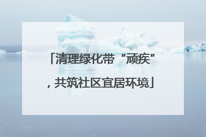 清理绿化带“顽疾”，共筑社区宜居环境