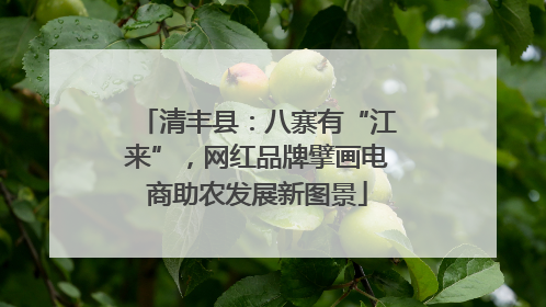 清丰县：八寨有“江来”，网红品牌擘画电商助农发展新图景