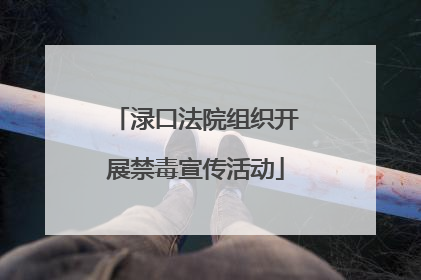渌口法院组织开展禁毒宣传活动