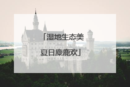 湿地生态美 夏日麋鹿欢
