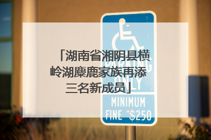 湖南省湘阴县横岭湖麋鹿家族再添三名新成员