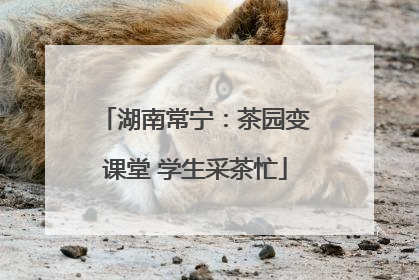 湖南常宁：茶园变课堂 学生采茶忙
