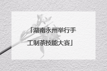 湖南永州举行手工制茶技能大赛