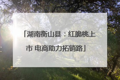 湖南衡山县：红脆桃上市 电商助力拓销路