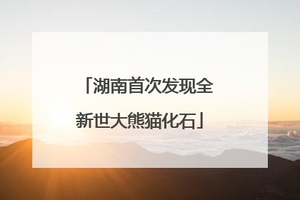 湖南首次发现全新世大熊猫化石