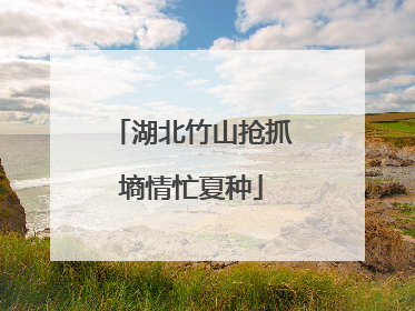 湖北竹山抢抓墒情忙夏种