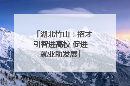 湖北竹山：招才引智进高校 促进就业助发展