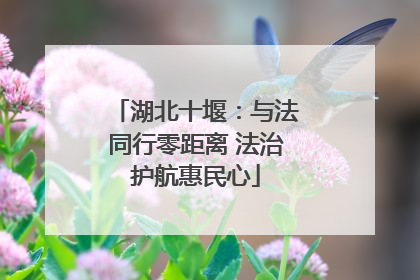 湖北十堰：与法同行零距离 法治护航惠民心